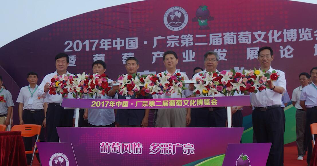 第二届葡萄文化博览会开幕式.png